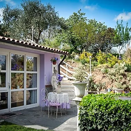 Amarcord Bed & Breakfast 4*