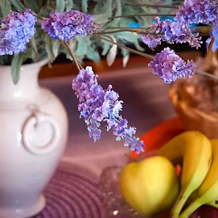 Bed & Breakfast Amarcord Bagnoregio