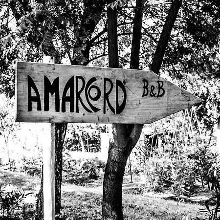 Amarcord Couette-café *